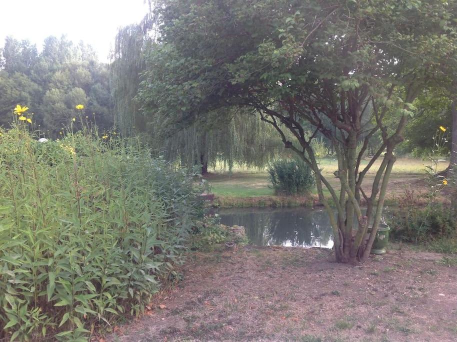 فيلا Le Foulon - Moulin De Charme - 1 Heure 30 De Paris Saint-Hilaire-les-Andresis المظهر الخارجي الصورة